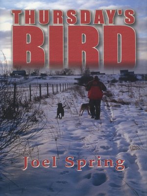 cover image of Thursday's Bird